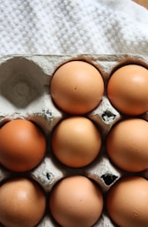 brown eggs on gray egg tray