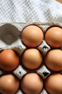 brown eggs on gray egg tray