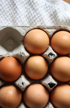brown eggs on gray egg tray