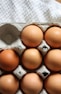 brown eggs on gray egg tray