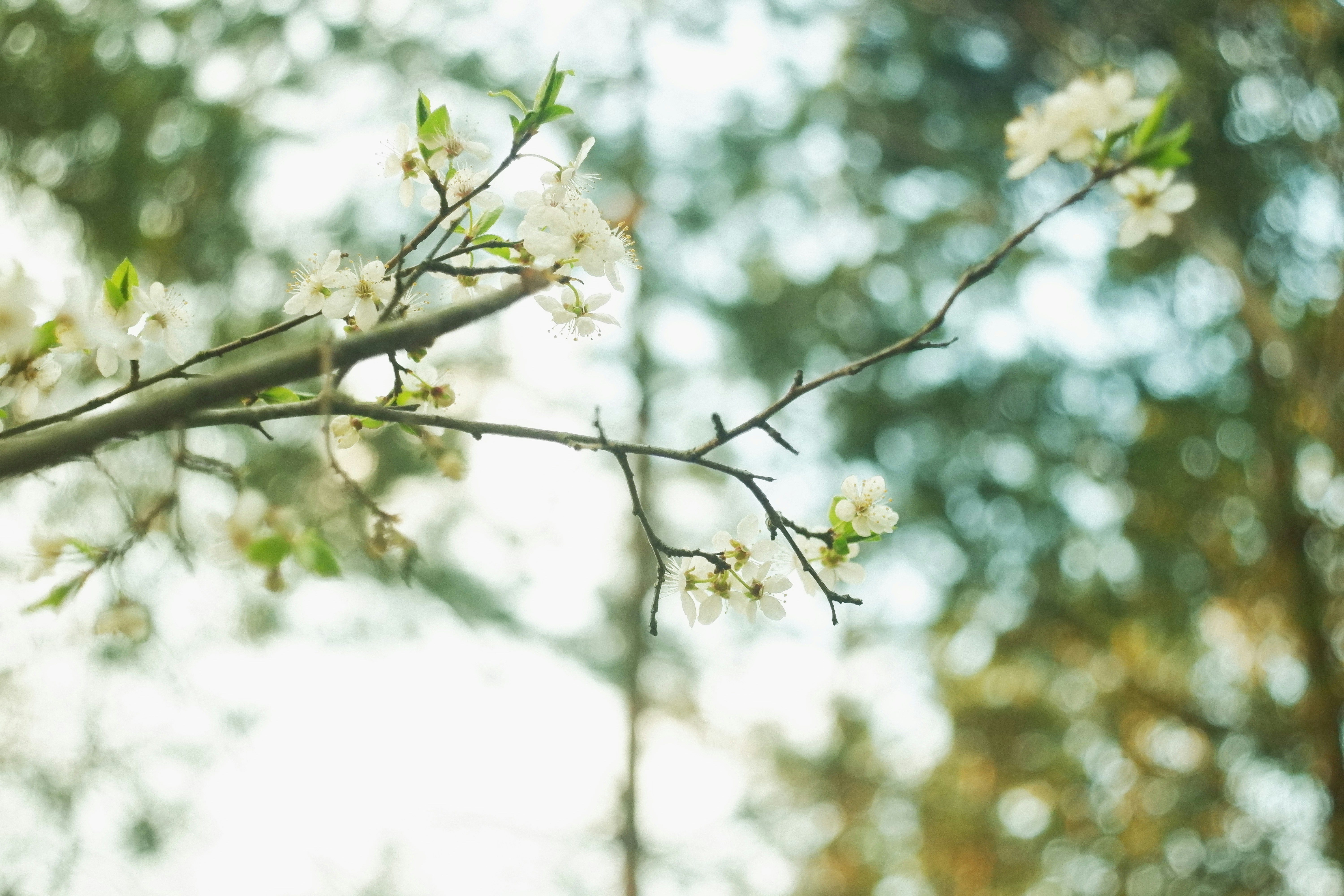 webpack基本知识整理