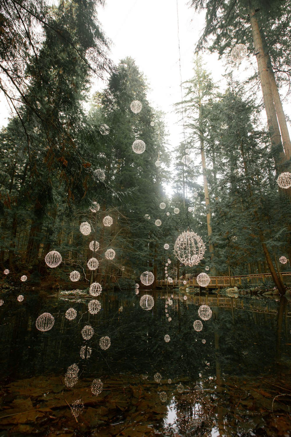 white round hanging decor on green trees during daytime