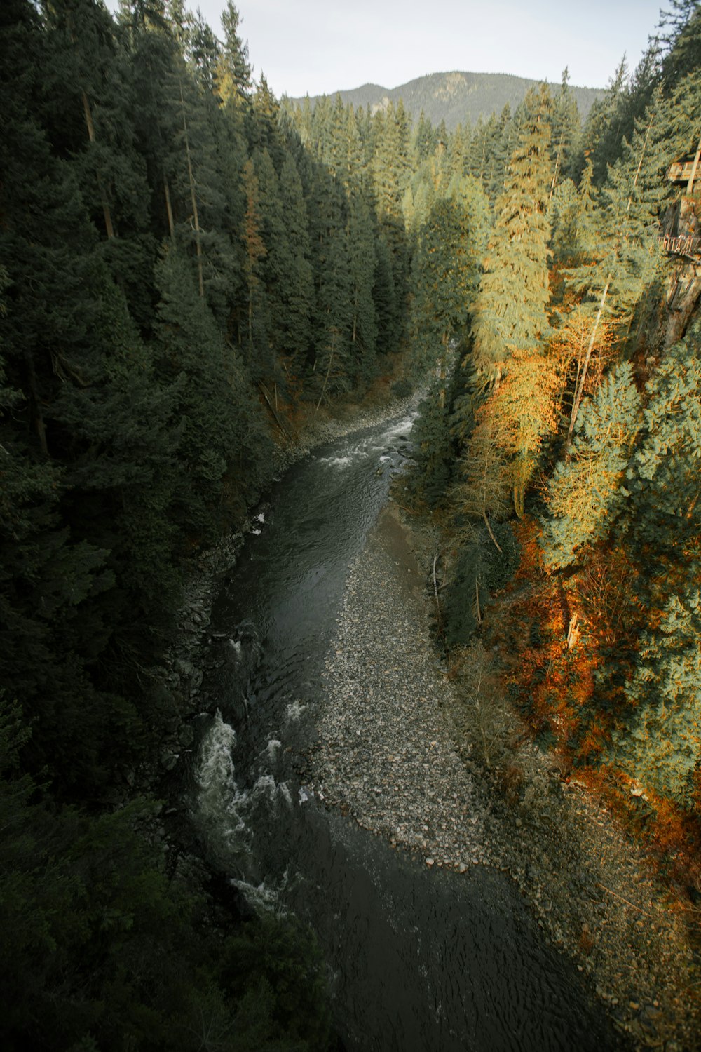 Fluss mitten im Wald