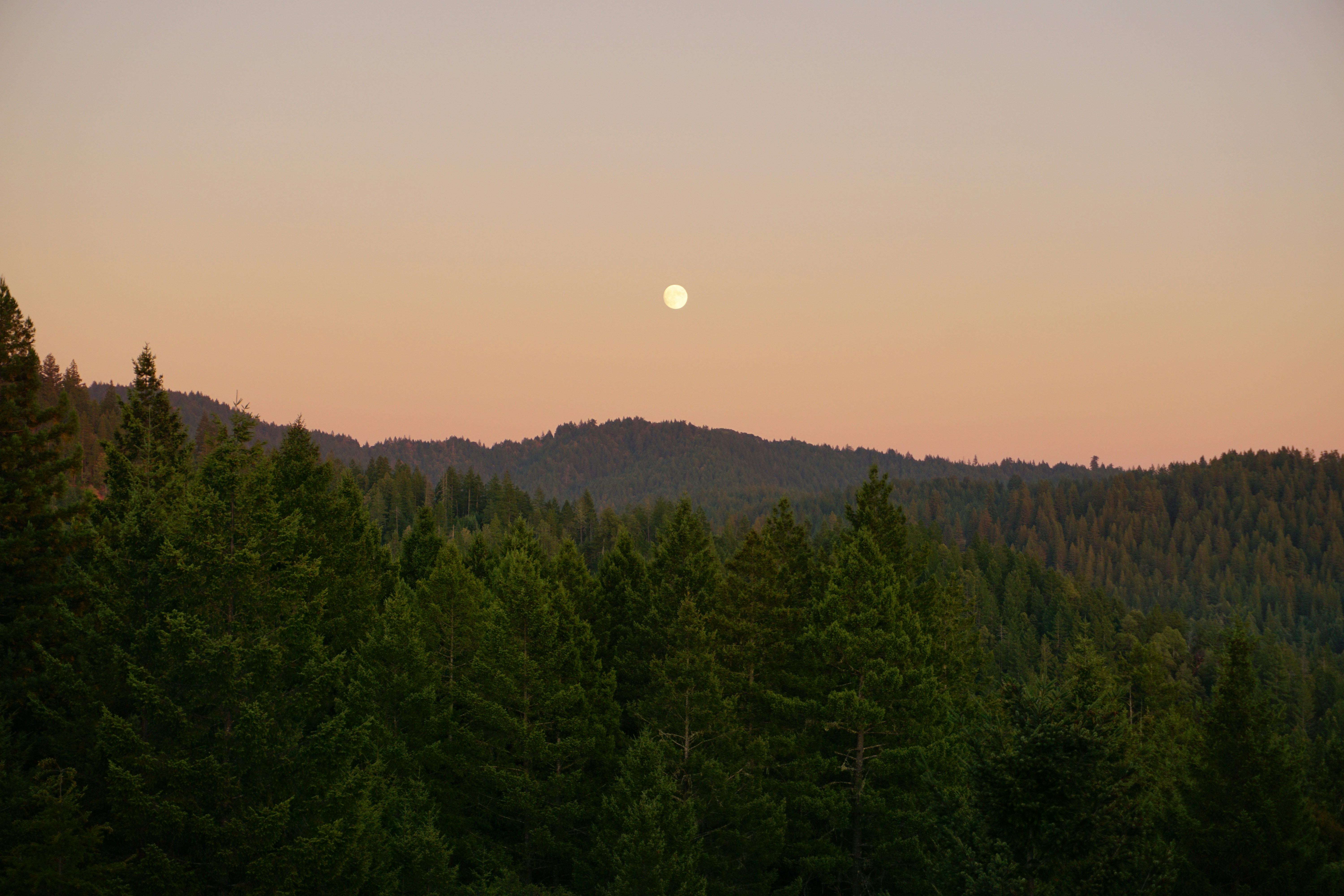 Photo by astral_auroras