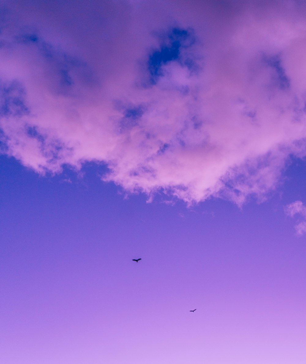 airplane flying in the sky during daytime