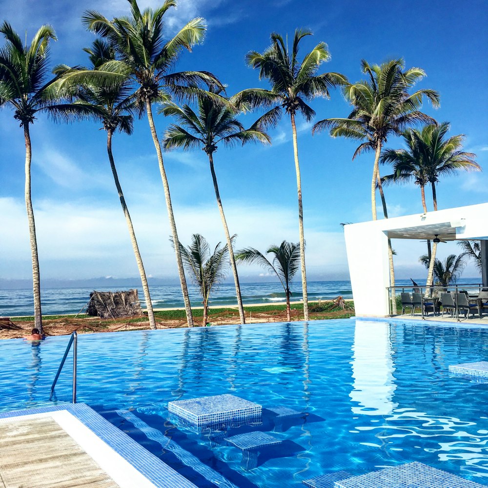 white and blue swimming pool near palm trees during daytime