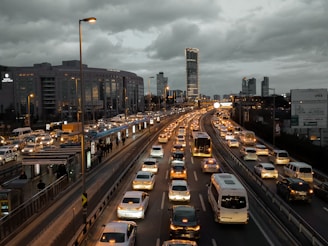 cars on road during daytime