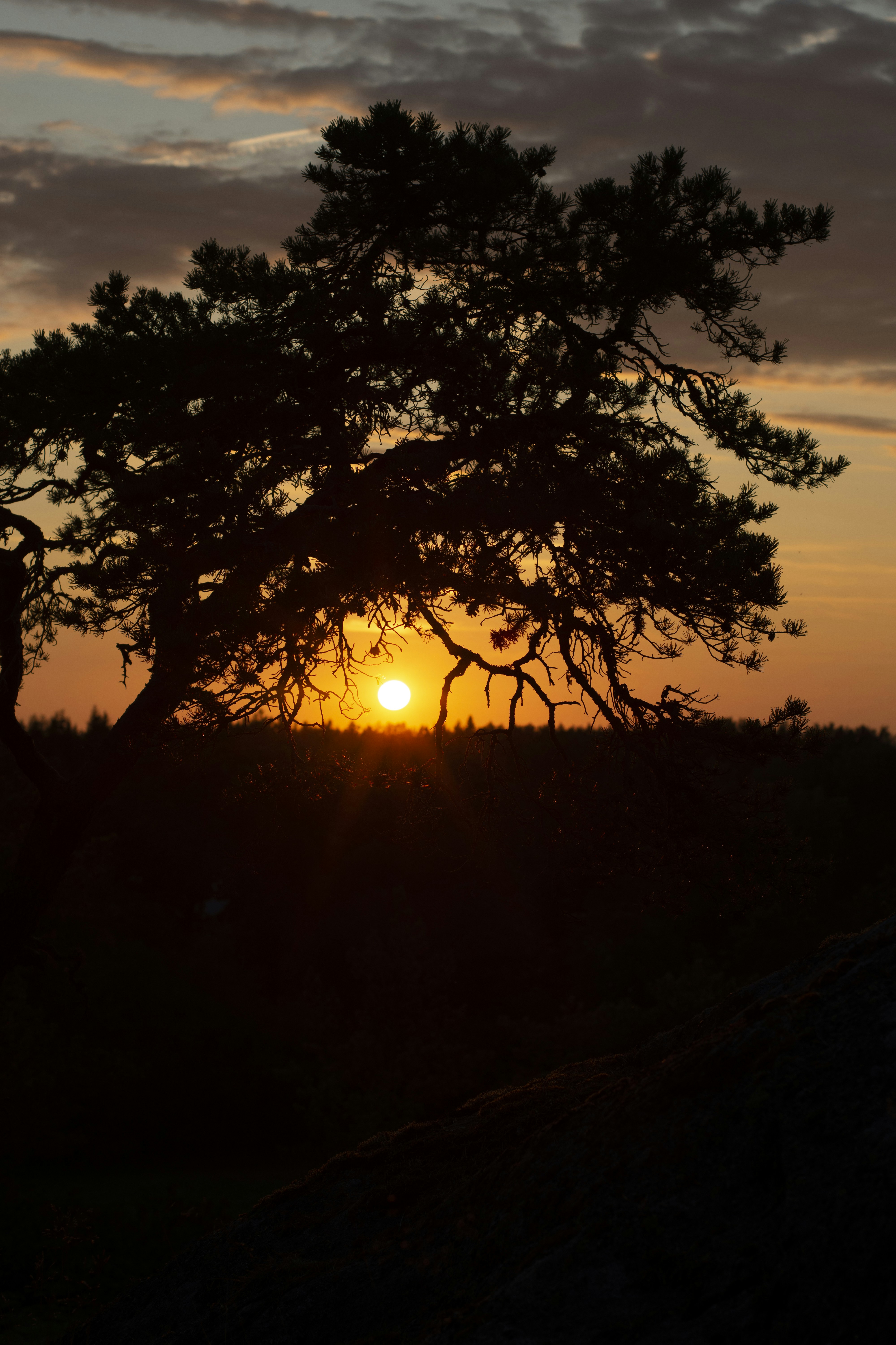 Photo by the_meaning_of_love