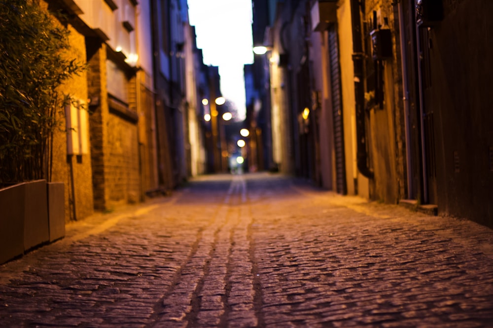 brown brick pathway between buildings during daytime