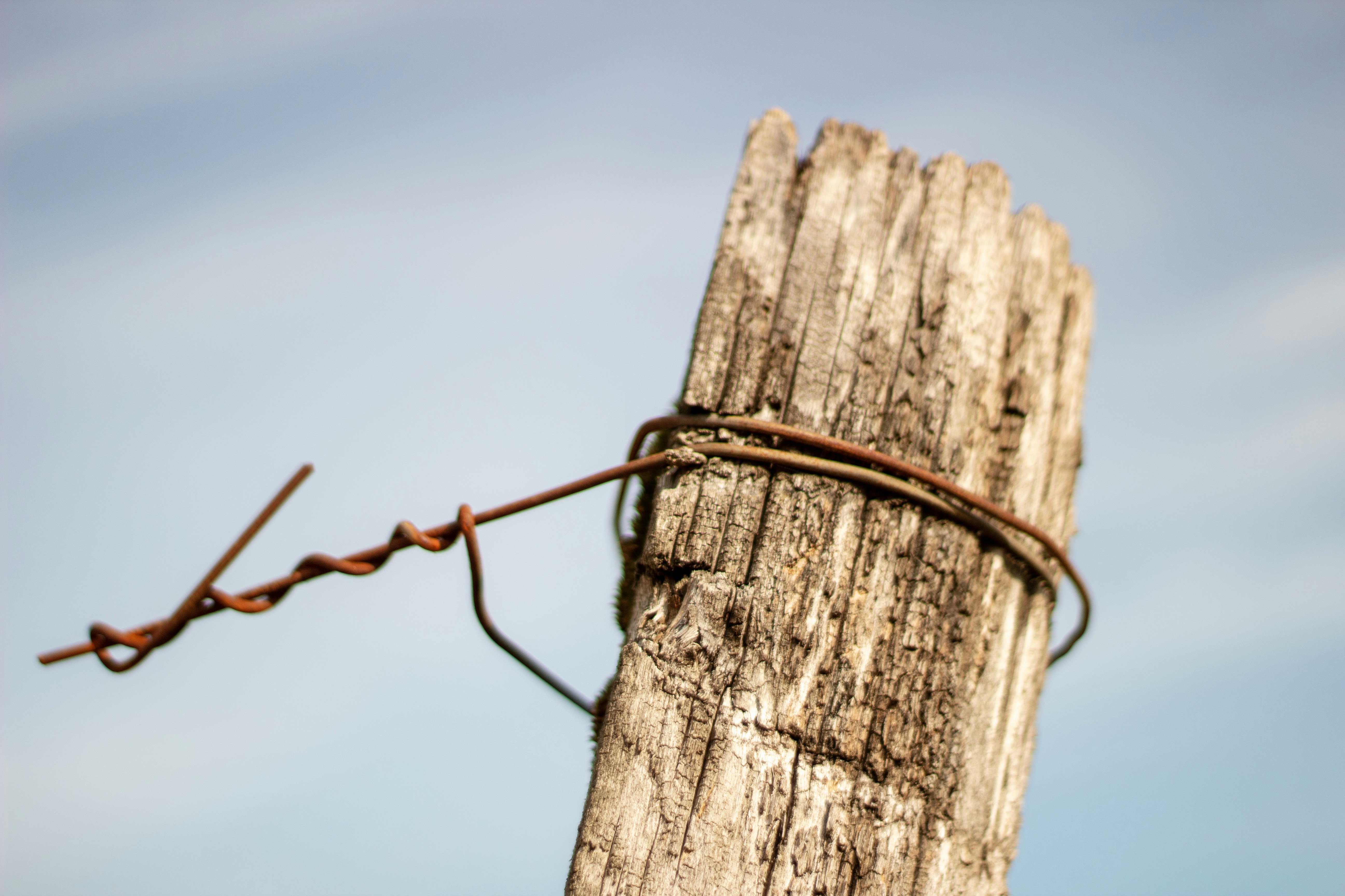 Photo by photoroutes