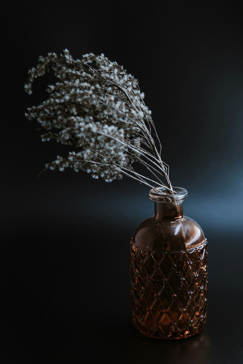 white and brown plant in clear glass bottle