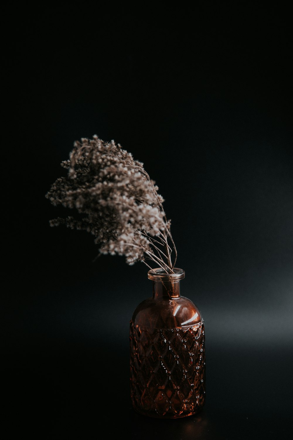 Foto en escala de grises de un árbol en una botella de vidrio