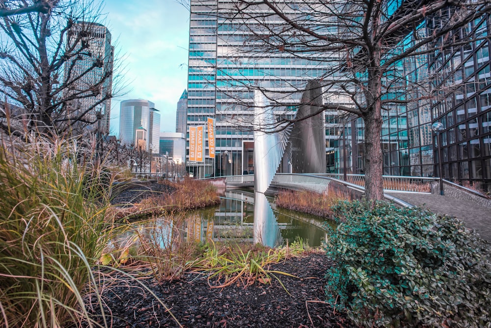 green grass and trees near high rise buildings during daytime