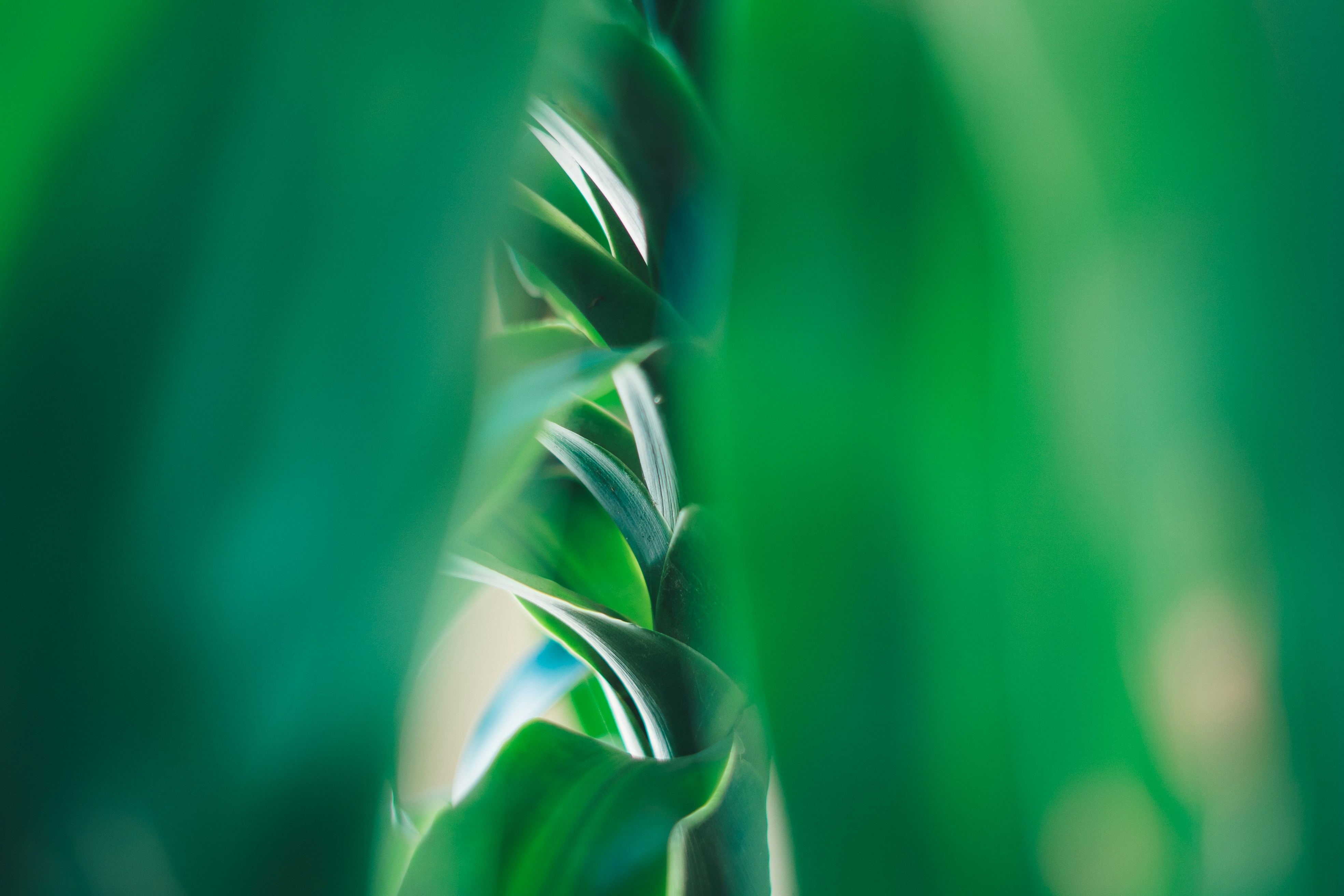 Photo by umityildirim