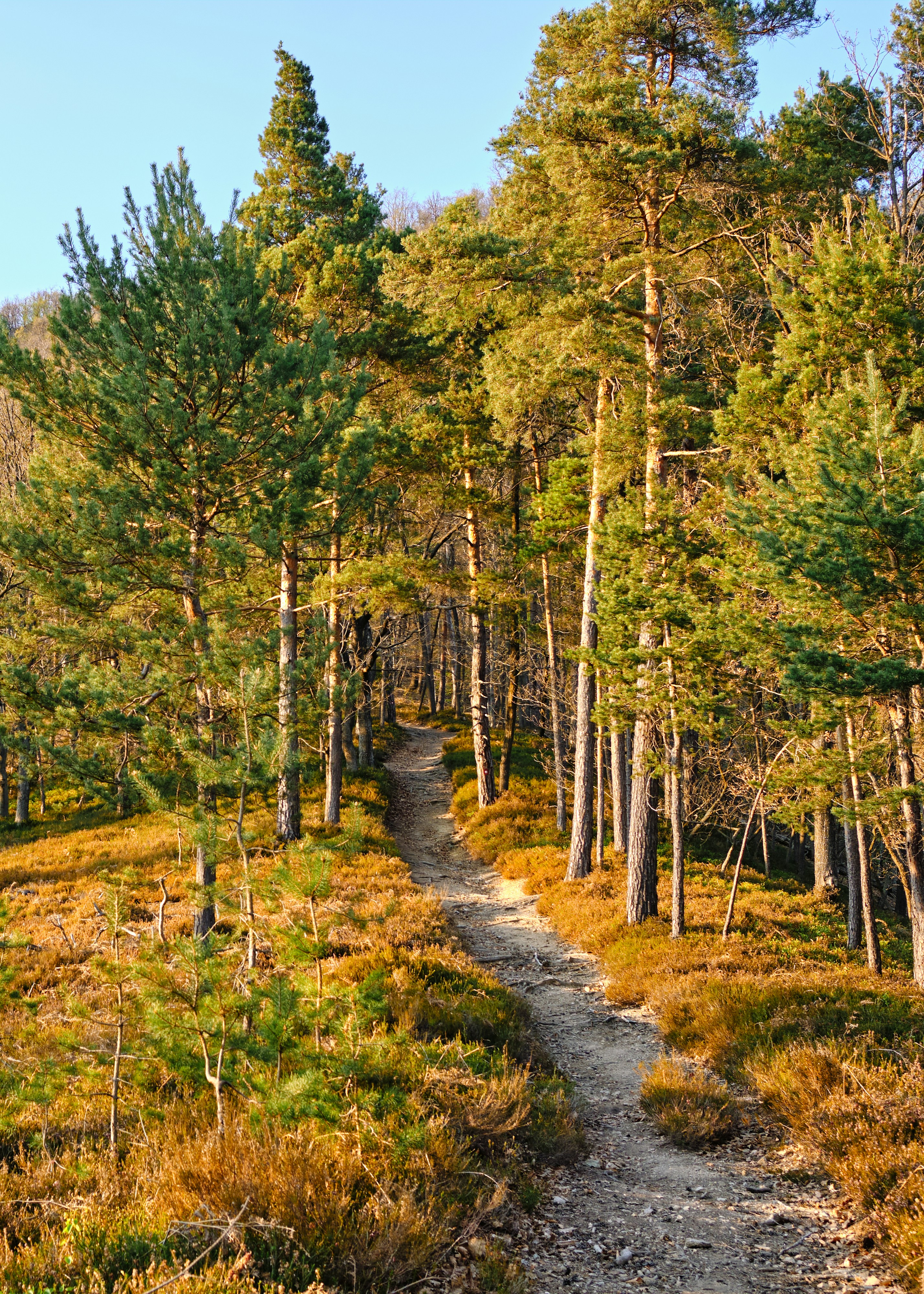 Photo by kristjankotar