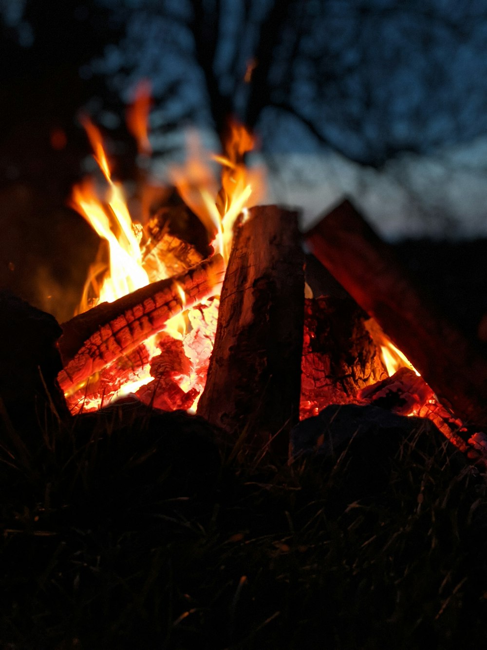 brown wood log on fire