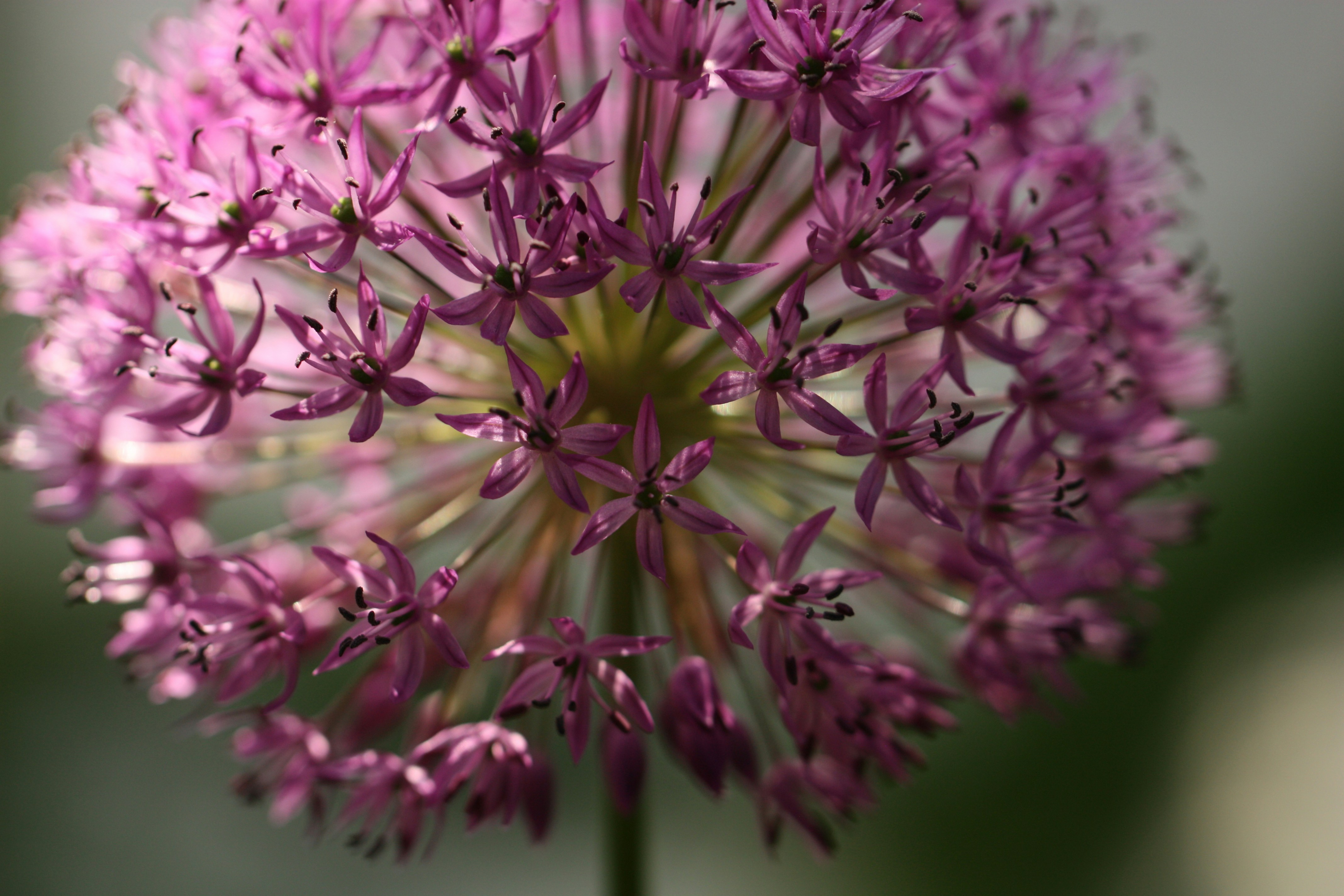 Photo by superdogsocial