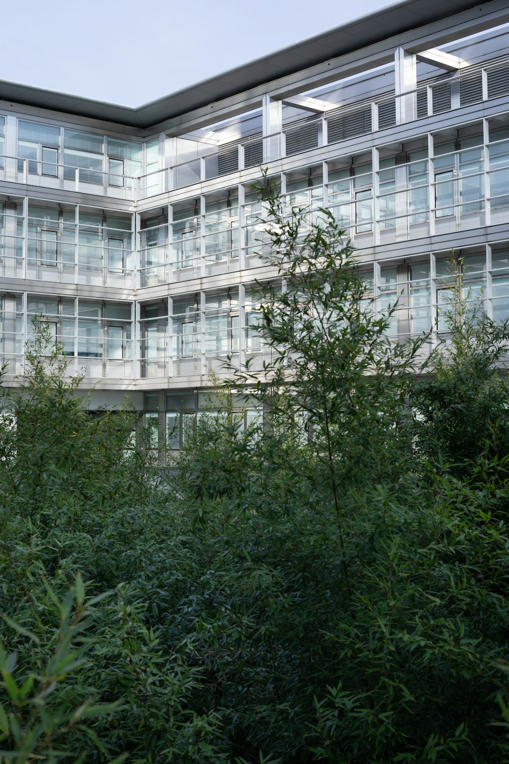 green trees near white concrete building during daytime