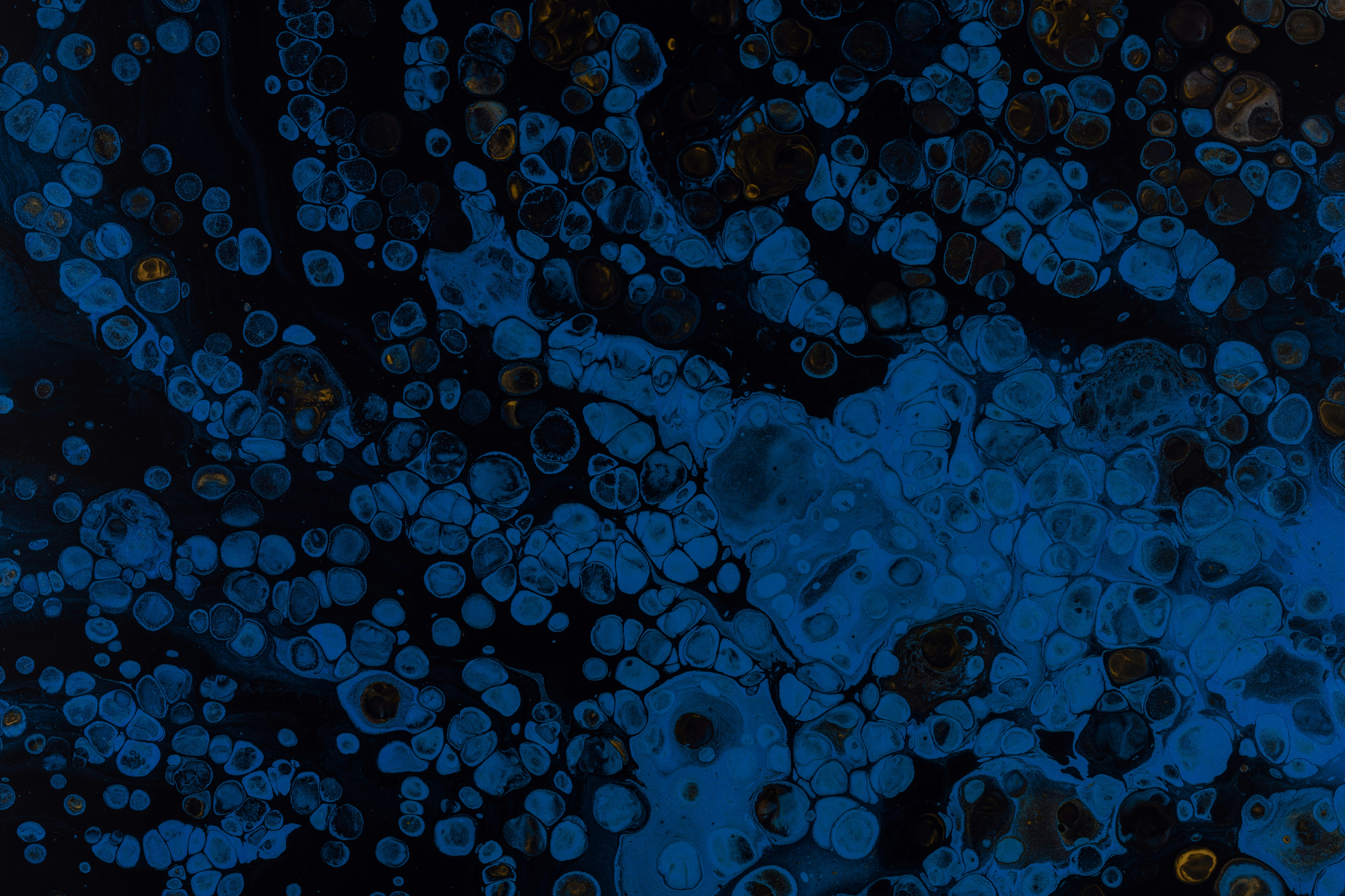 Photo by pawel_czerwinski