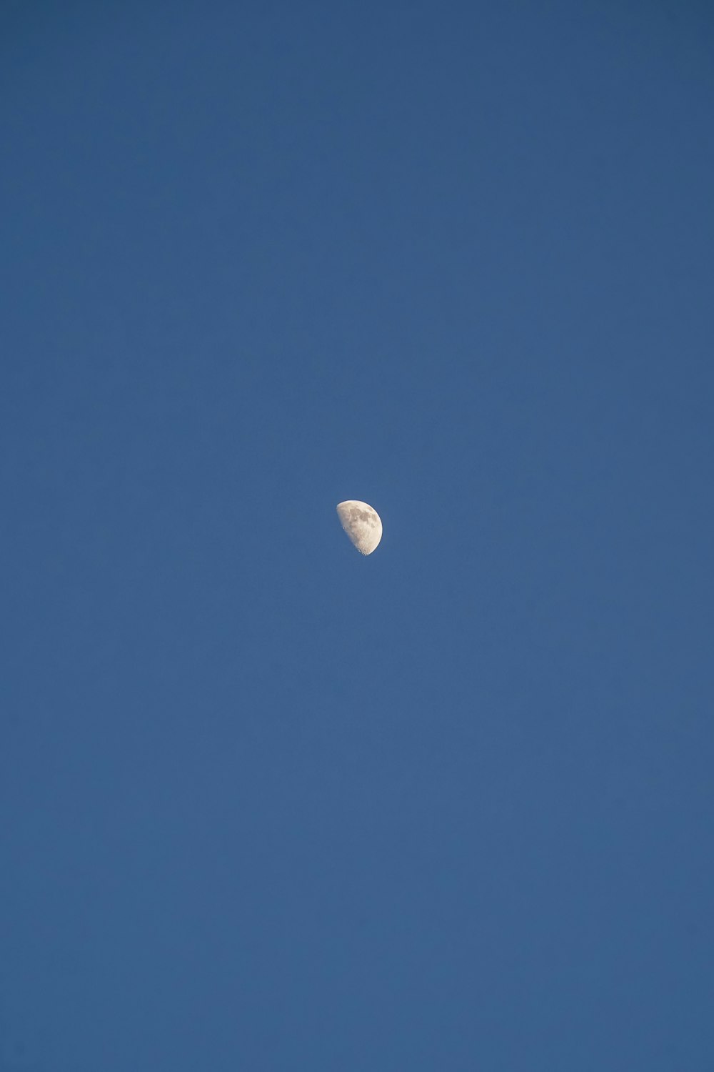 luna piena nel cielo