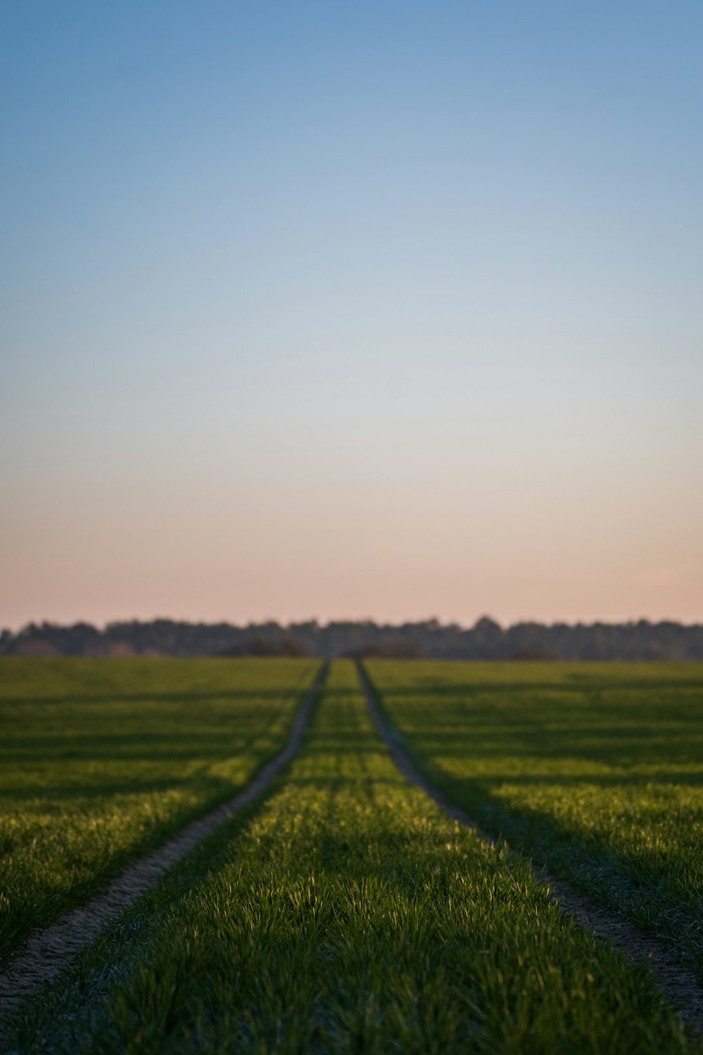 green grass field under white sky during daytime