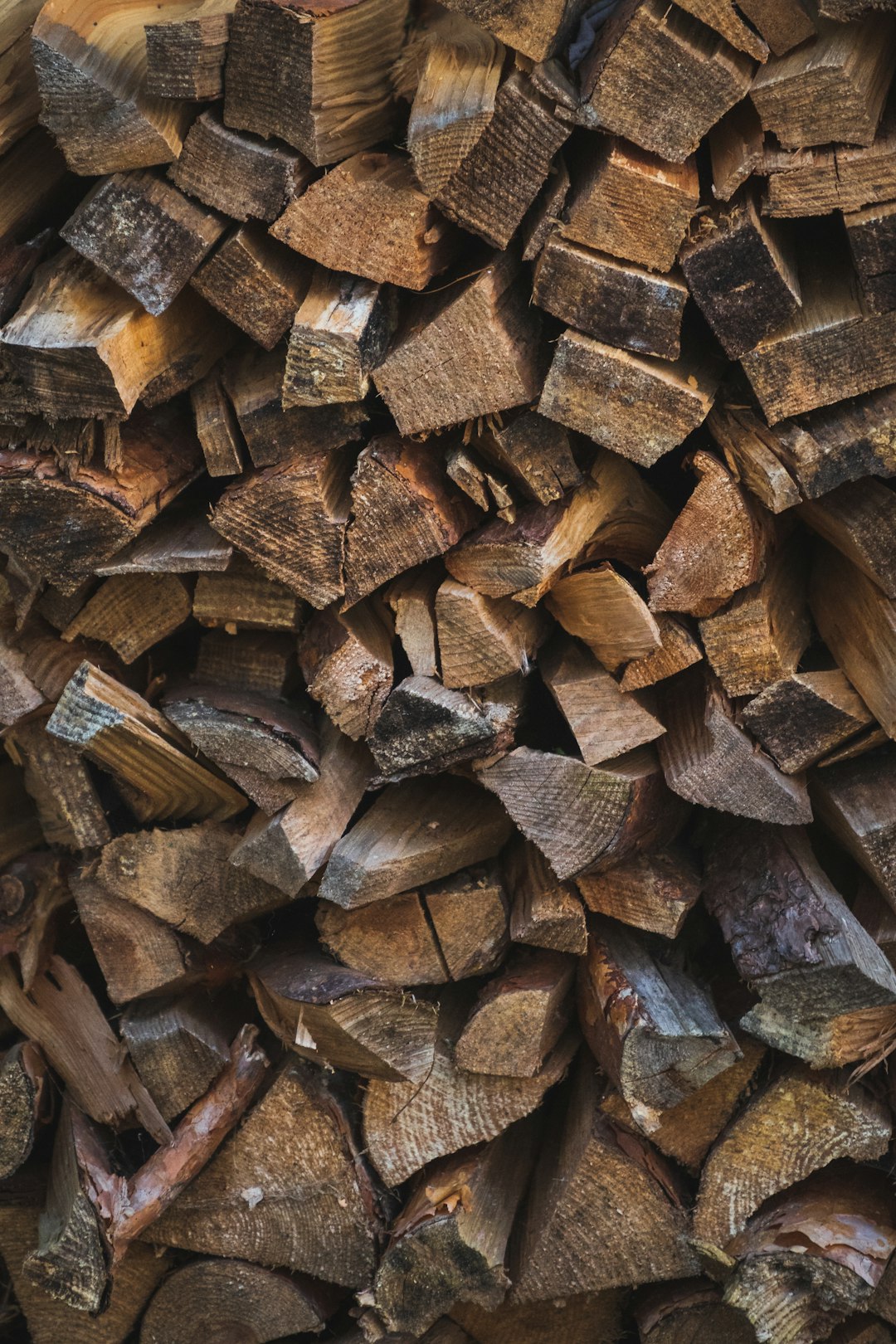 brown and gray wood logs