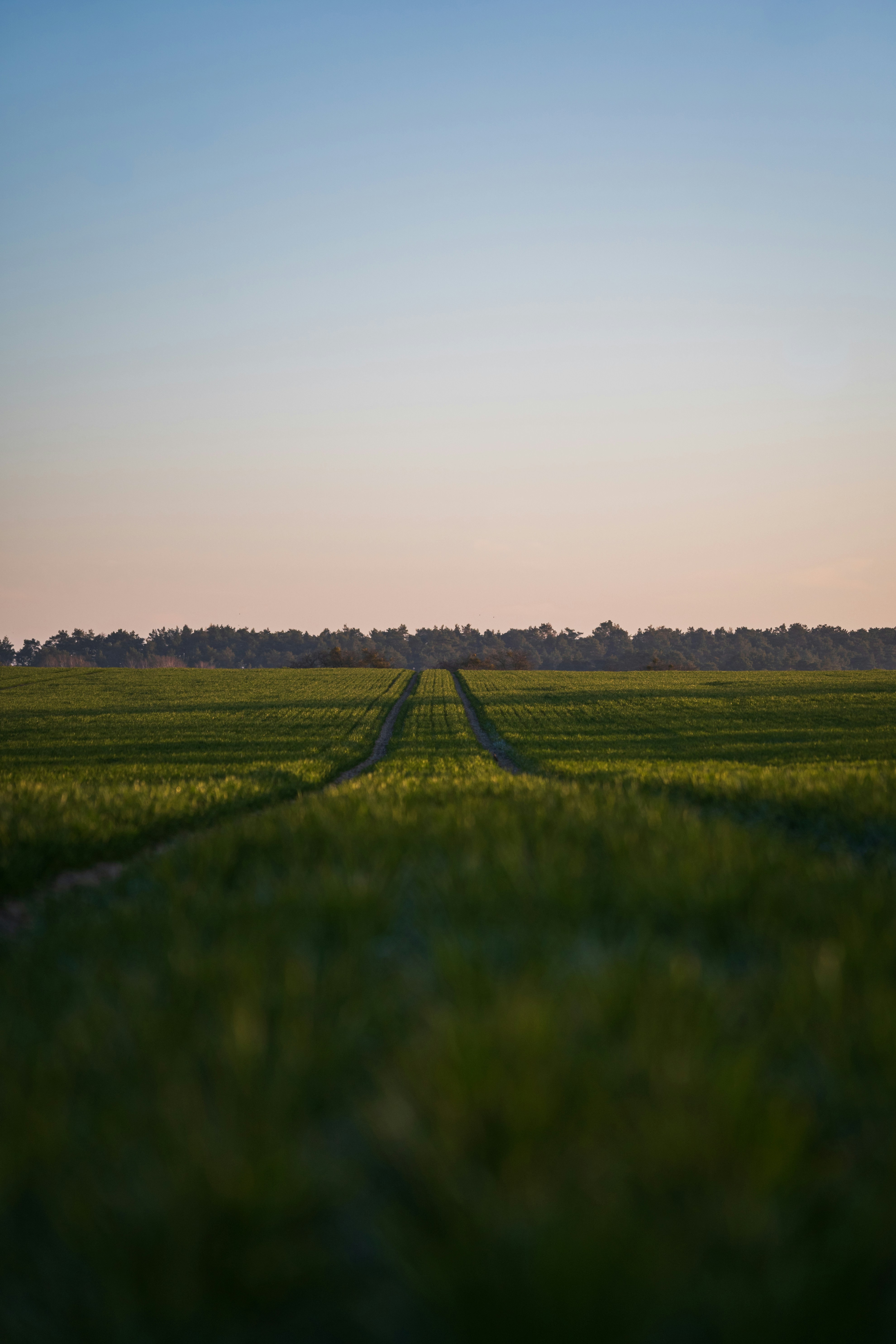 green grass field under white sky during daytime