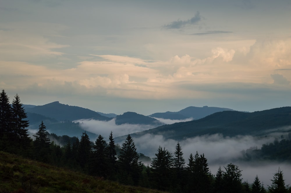 árvores verdes e montanhas sob nuvens brancas e céu azul durante o dia