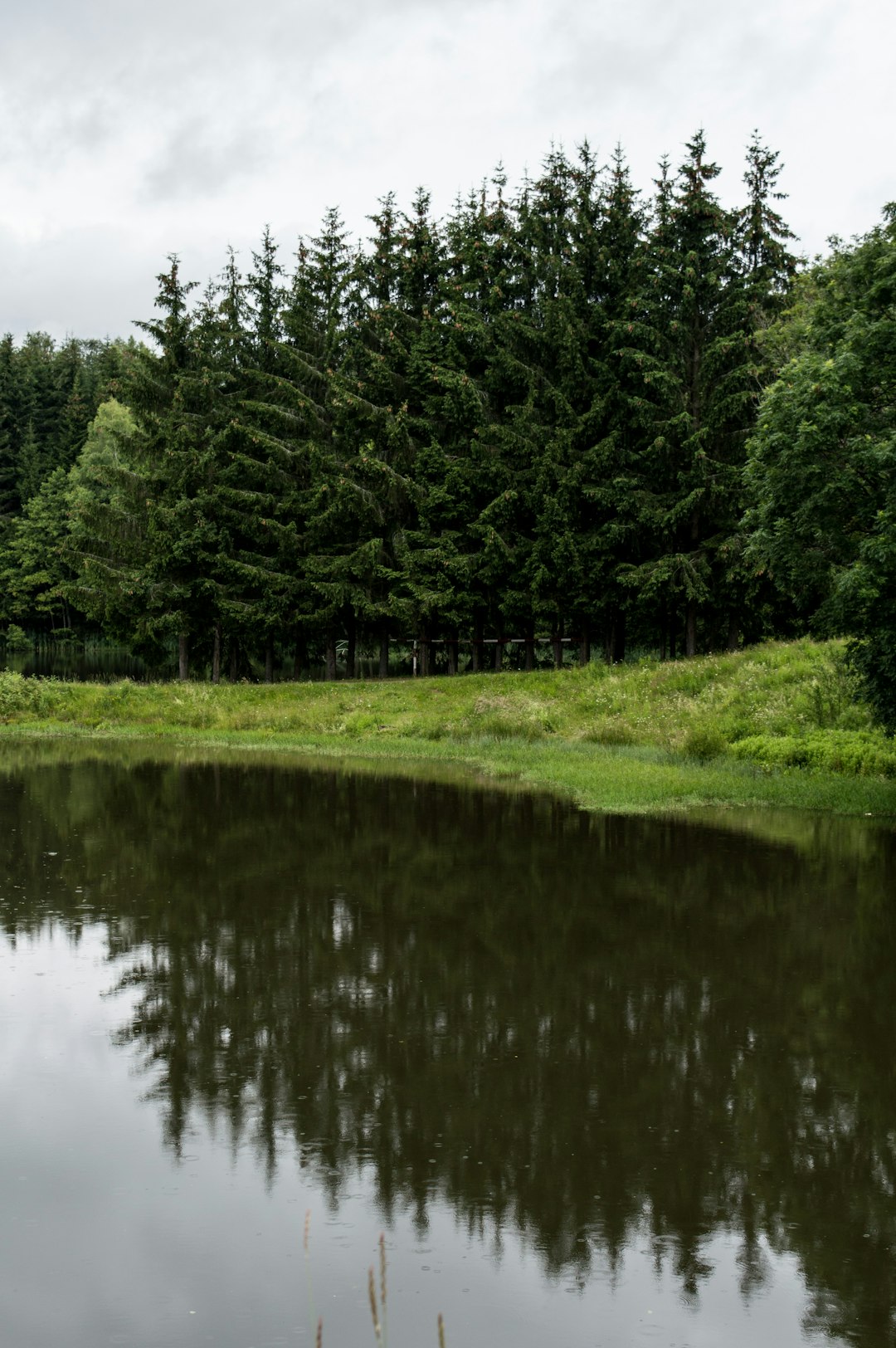 Nature reserve photo spot Trei Ape Lacul Secu