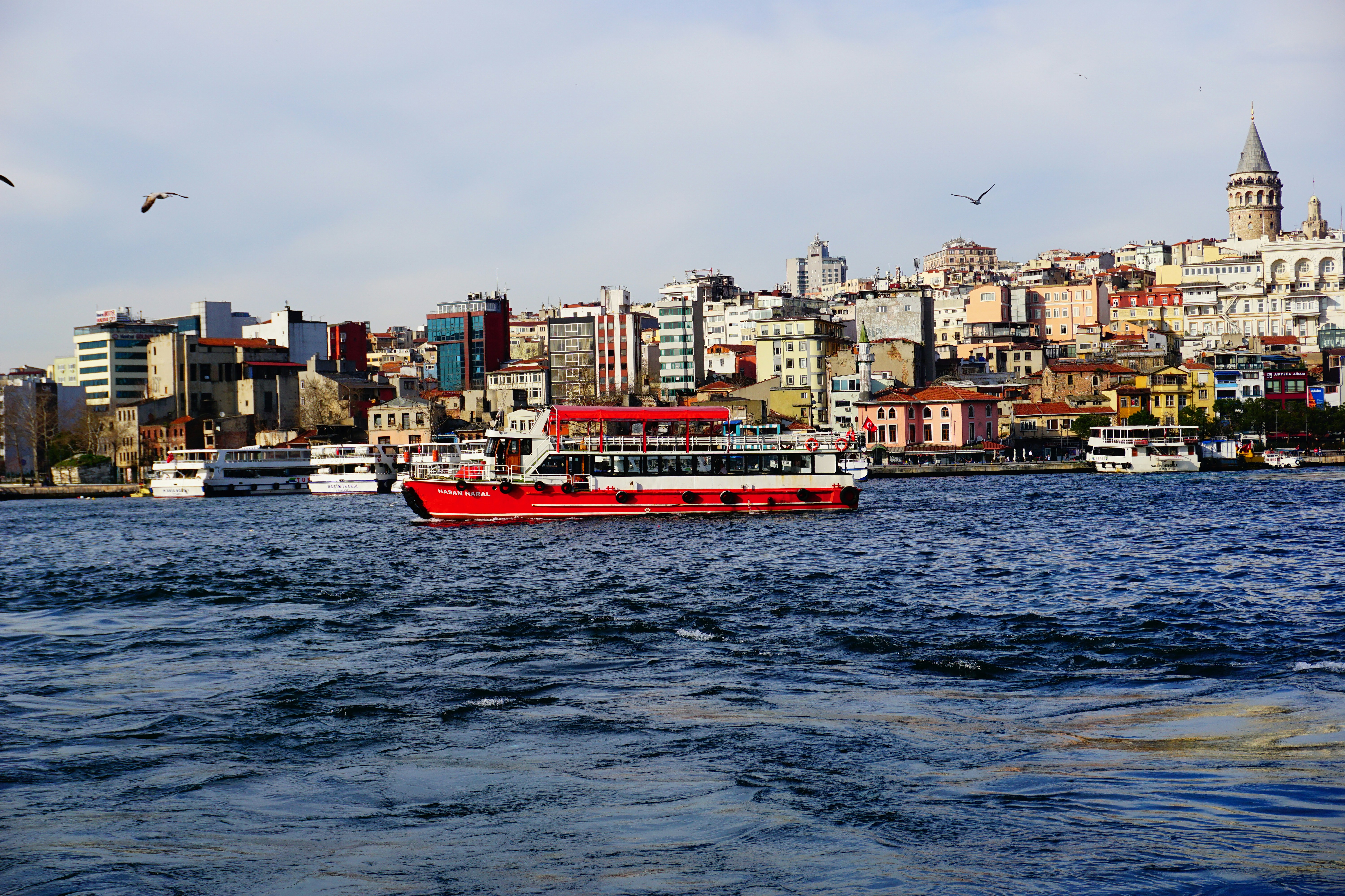 photo-1586812688250-58f9e07e5af1