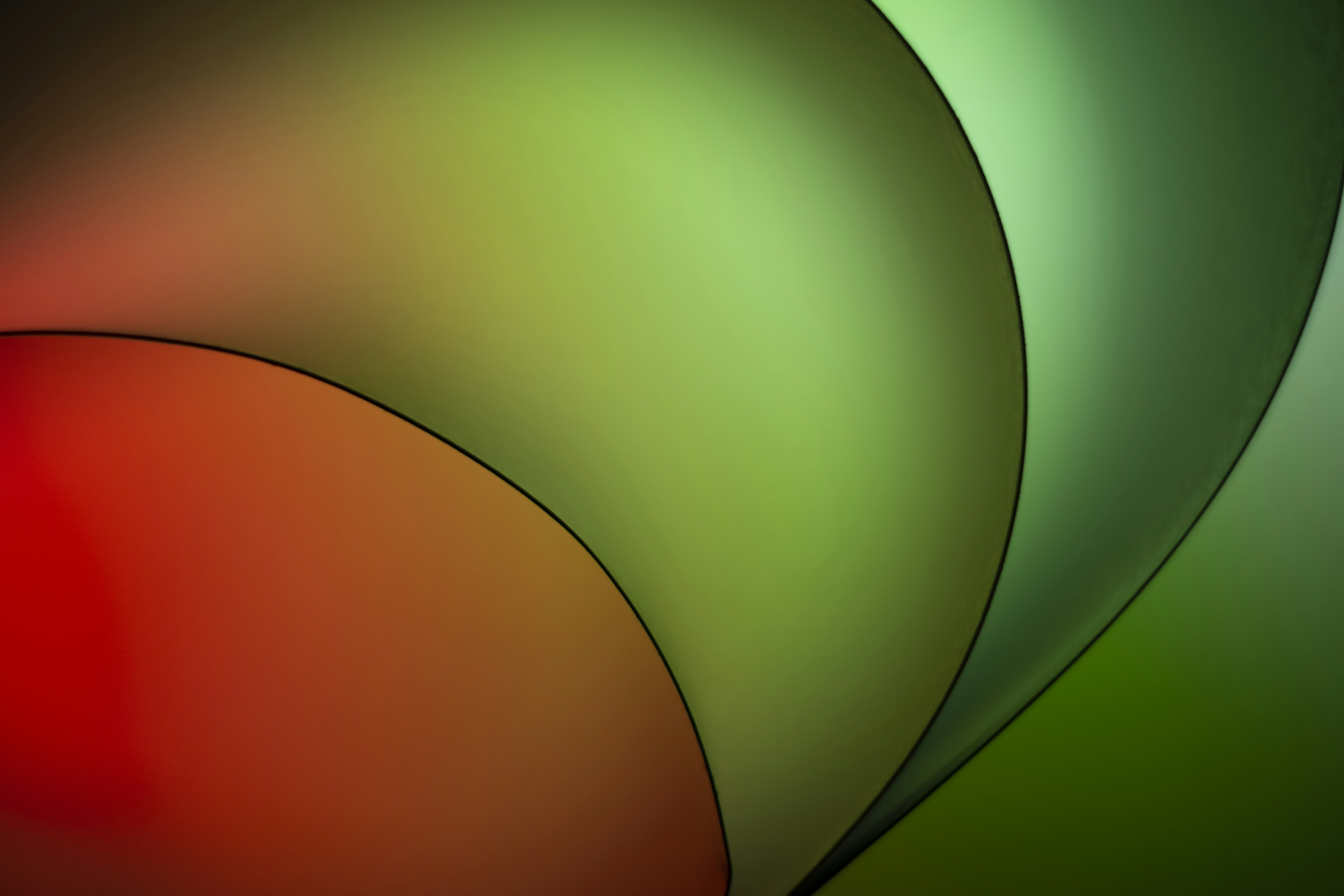 green and orange round illustration