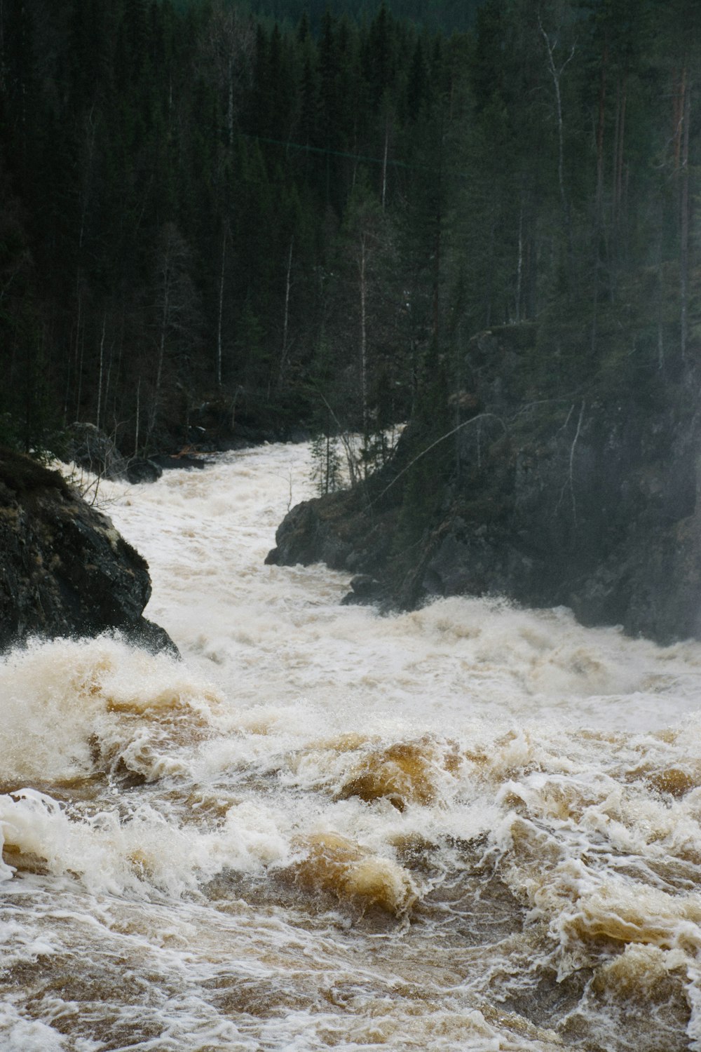 water falls in the middle of forest