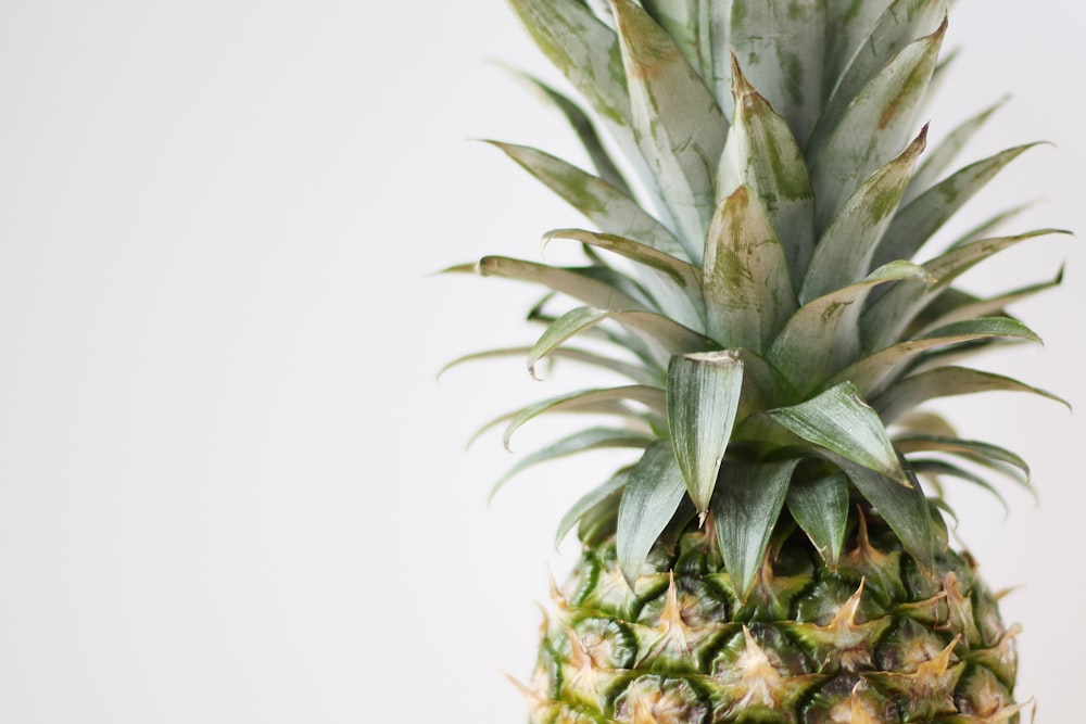 green pineapple fruit on white background