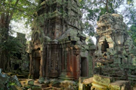 Ancient temple ruins framed by tropical foliage and vibrant flowers