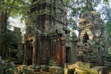 Ancient stone temple ruins surrounded by lush green foliage. The structures are intricately carved and appear weathered, with parts of the architecture in a state of disrepair. Large trees with dense canopies add to the scene, casting dappled shadows over the ruins.