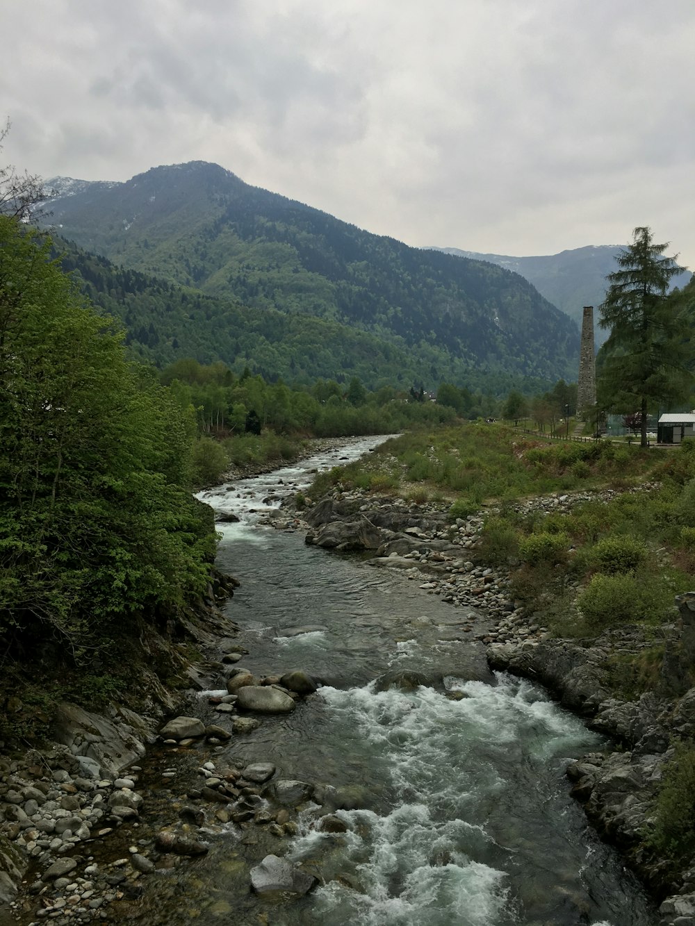 river between green trees and mountain during daytime