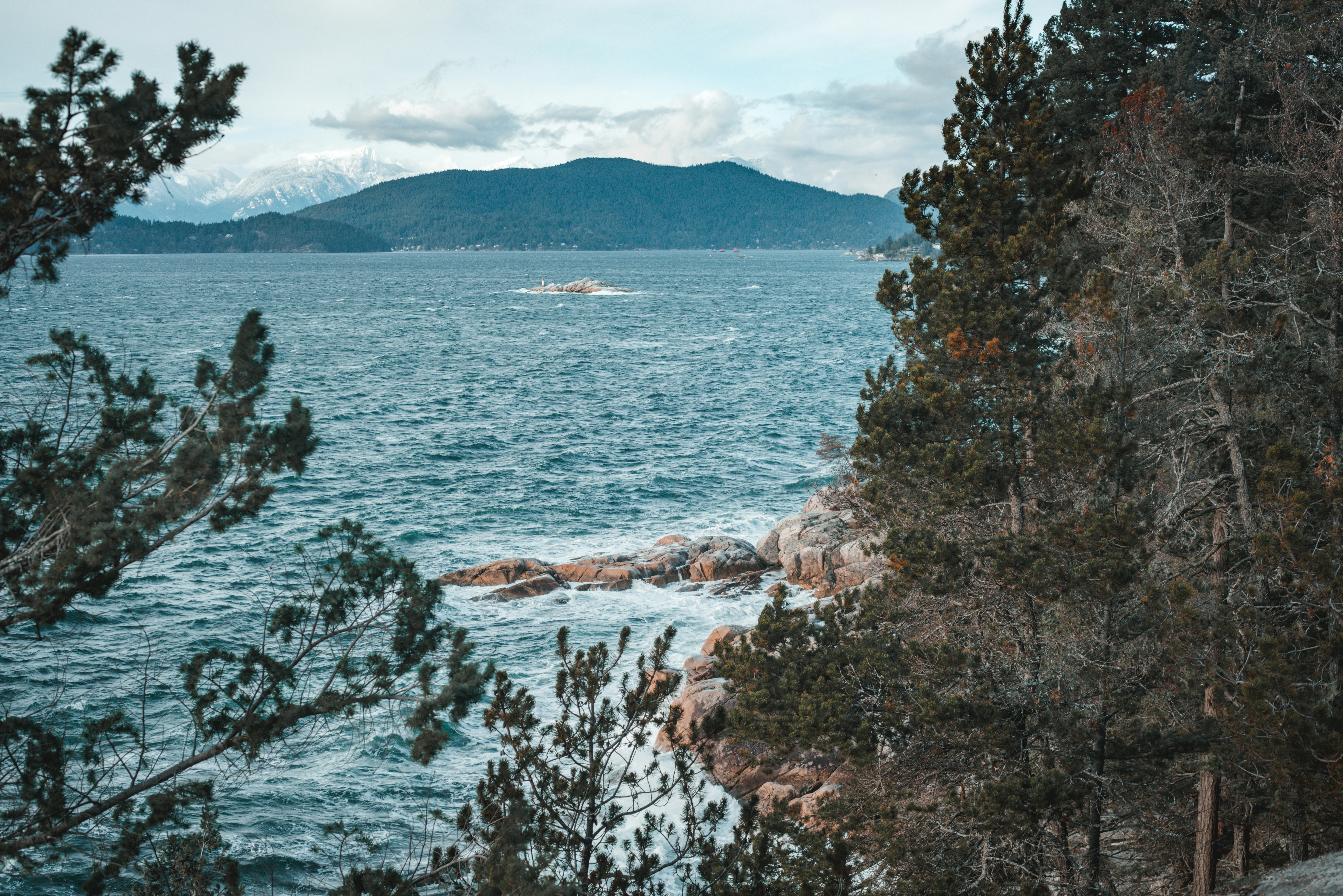 alberi verdi vicino allo specchio d'acqua durante il giorno