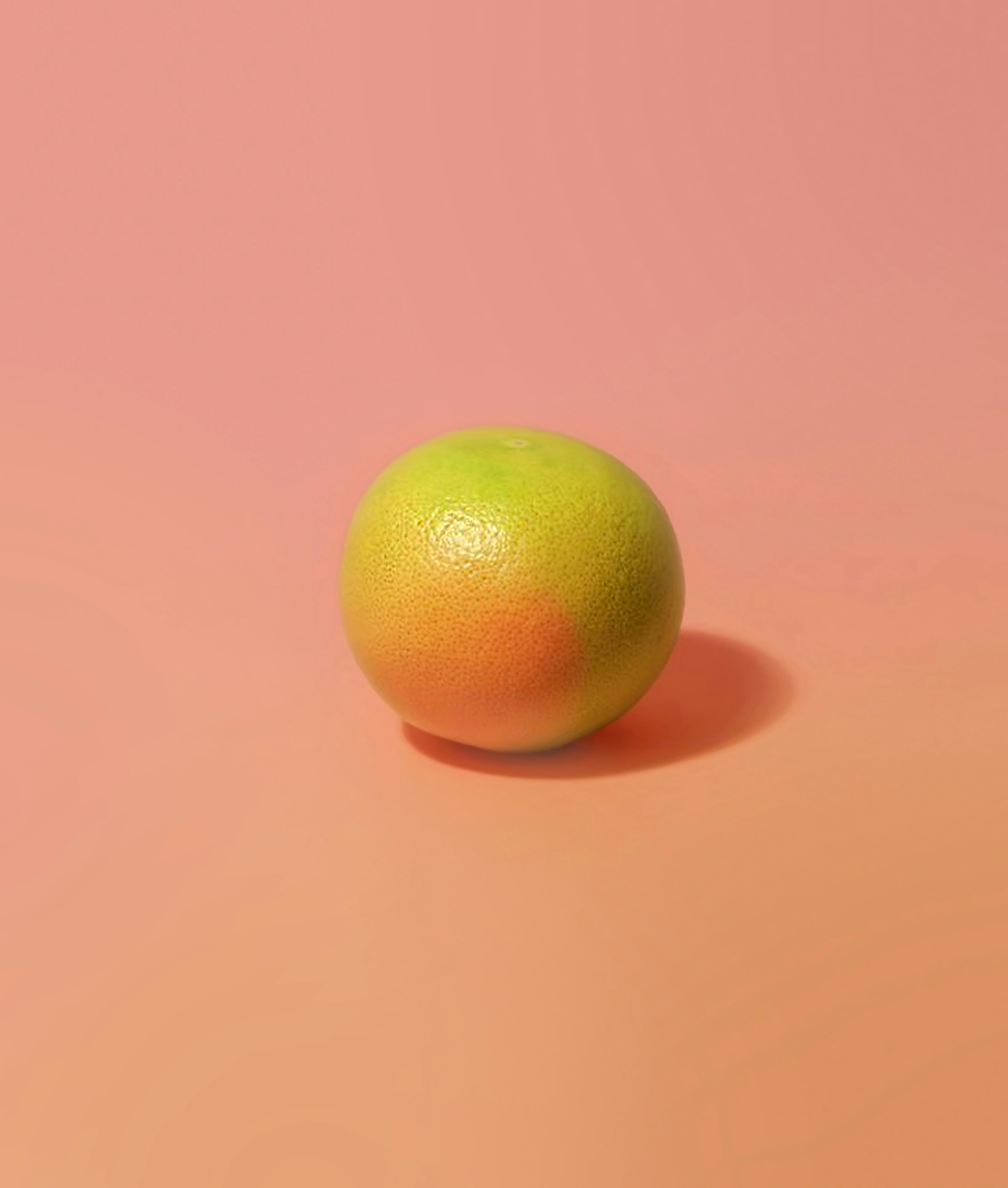 orange at orange