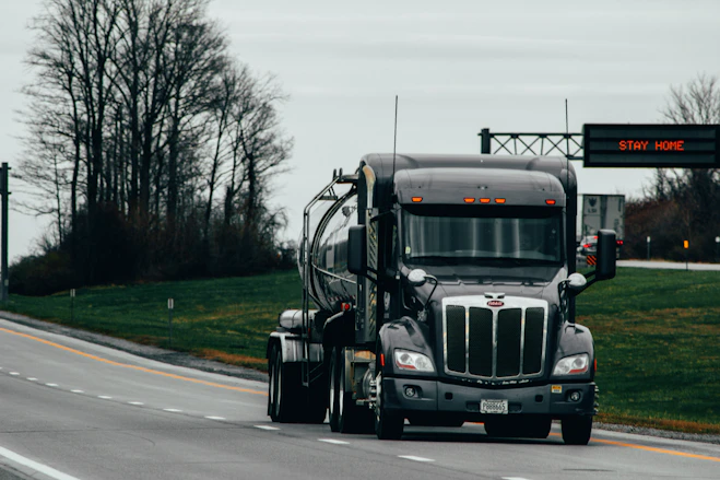white truck on road near bare trees during daytime