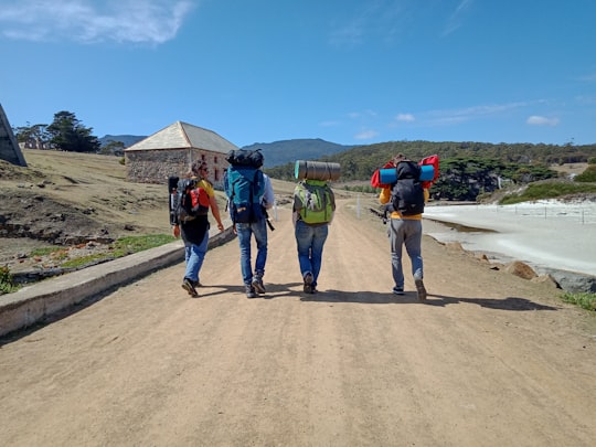 people walking on brown dirt road during daytime in Maria Island Australia