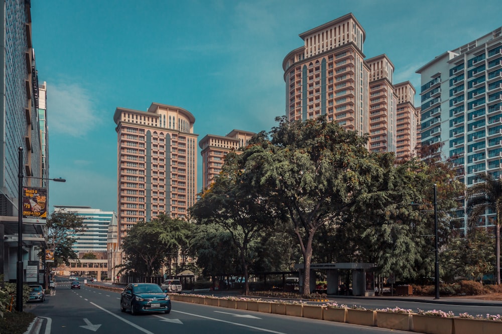 cars parked on roadside near trees and buildings during daytime