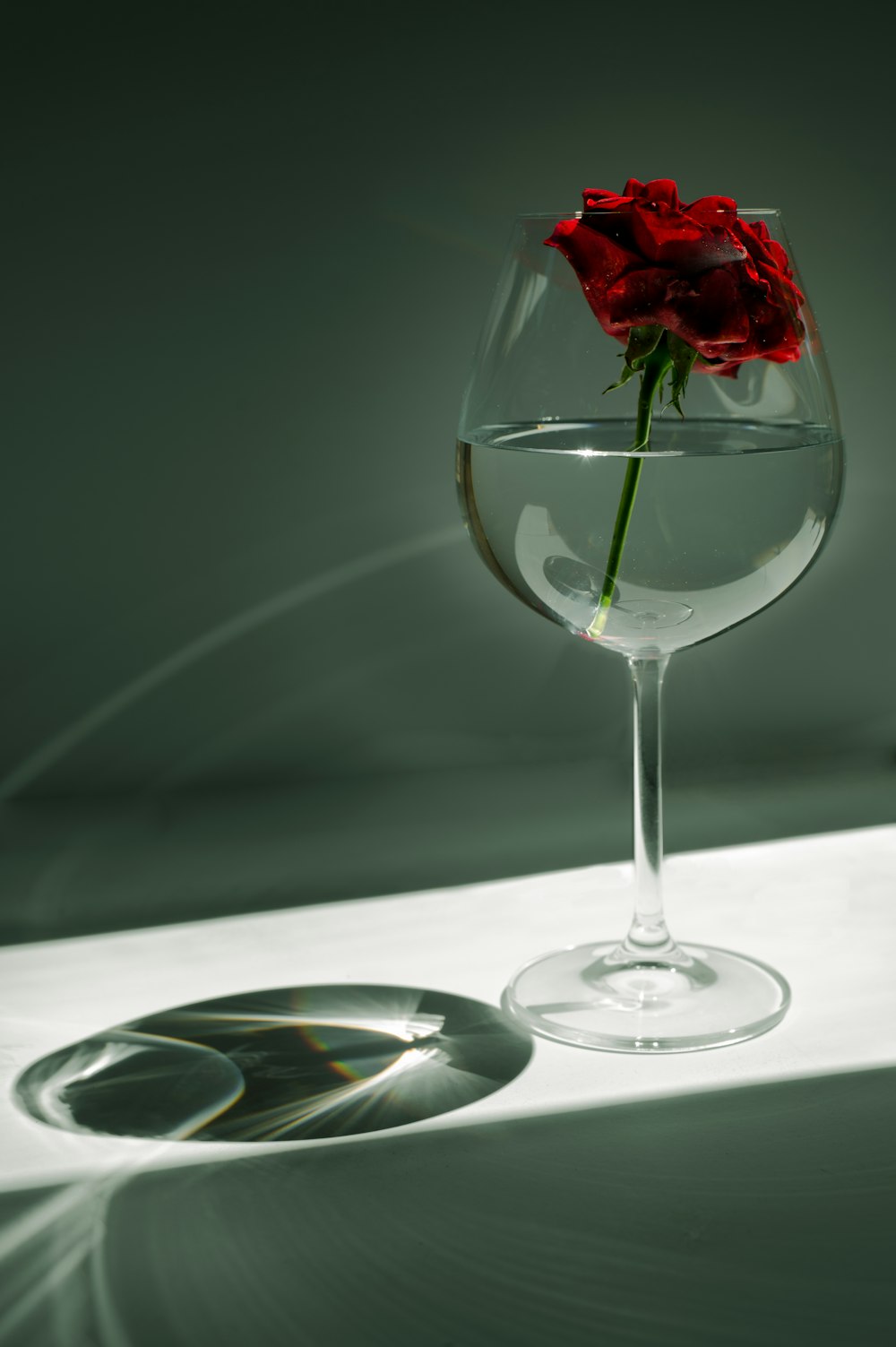 rose rouge dans un verre à vin transparent