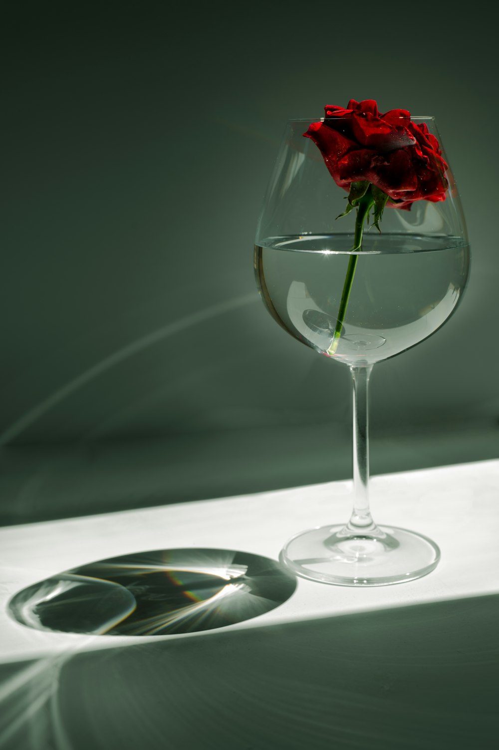 Rote Rose im klaren Weinglas