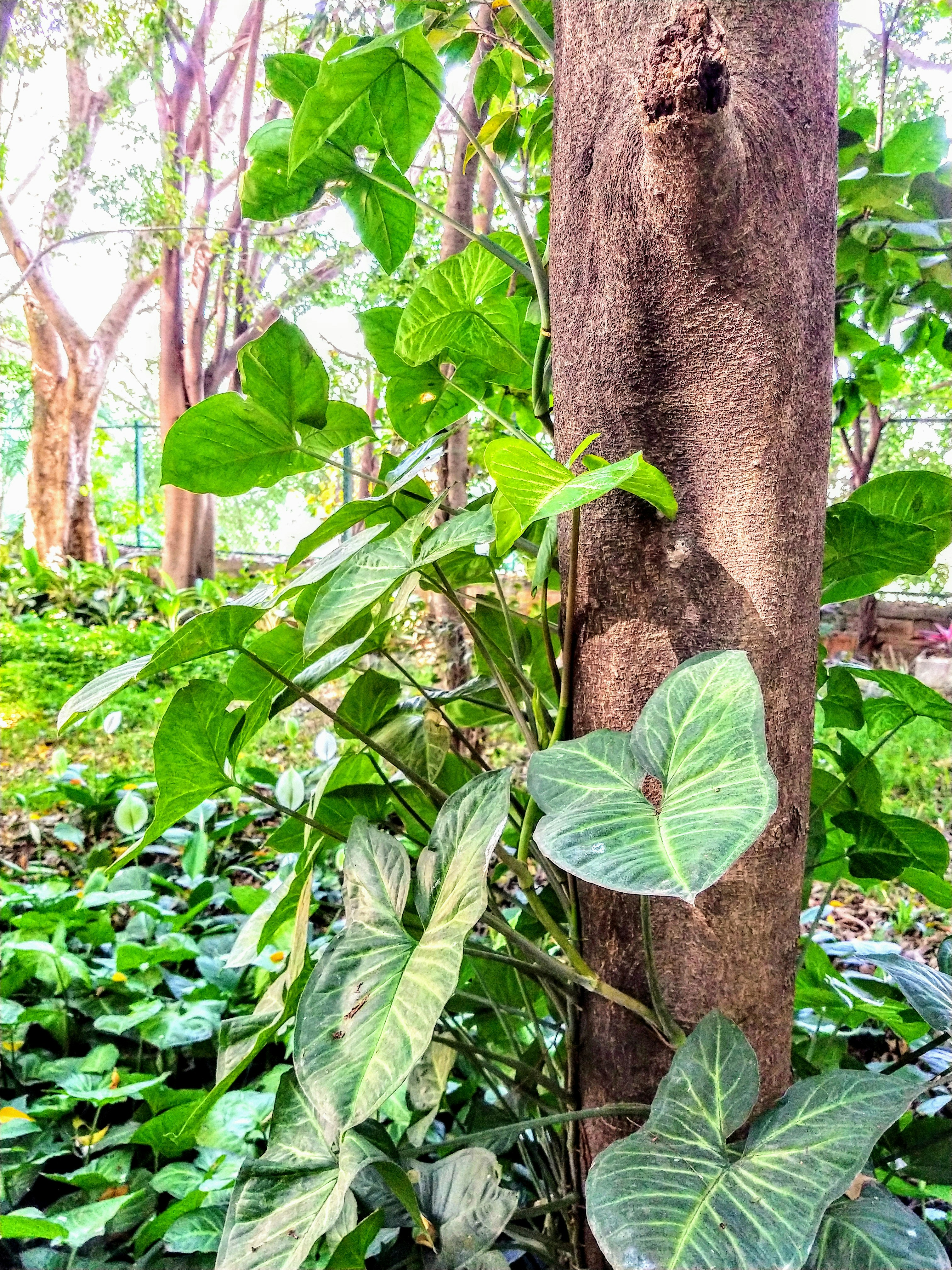 Photo by praveen1981