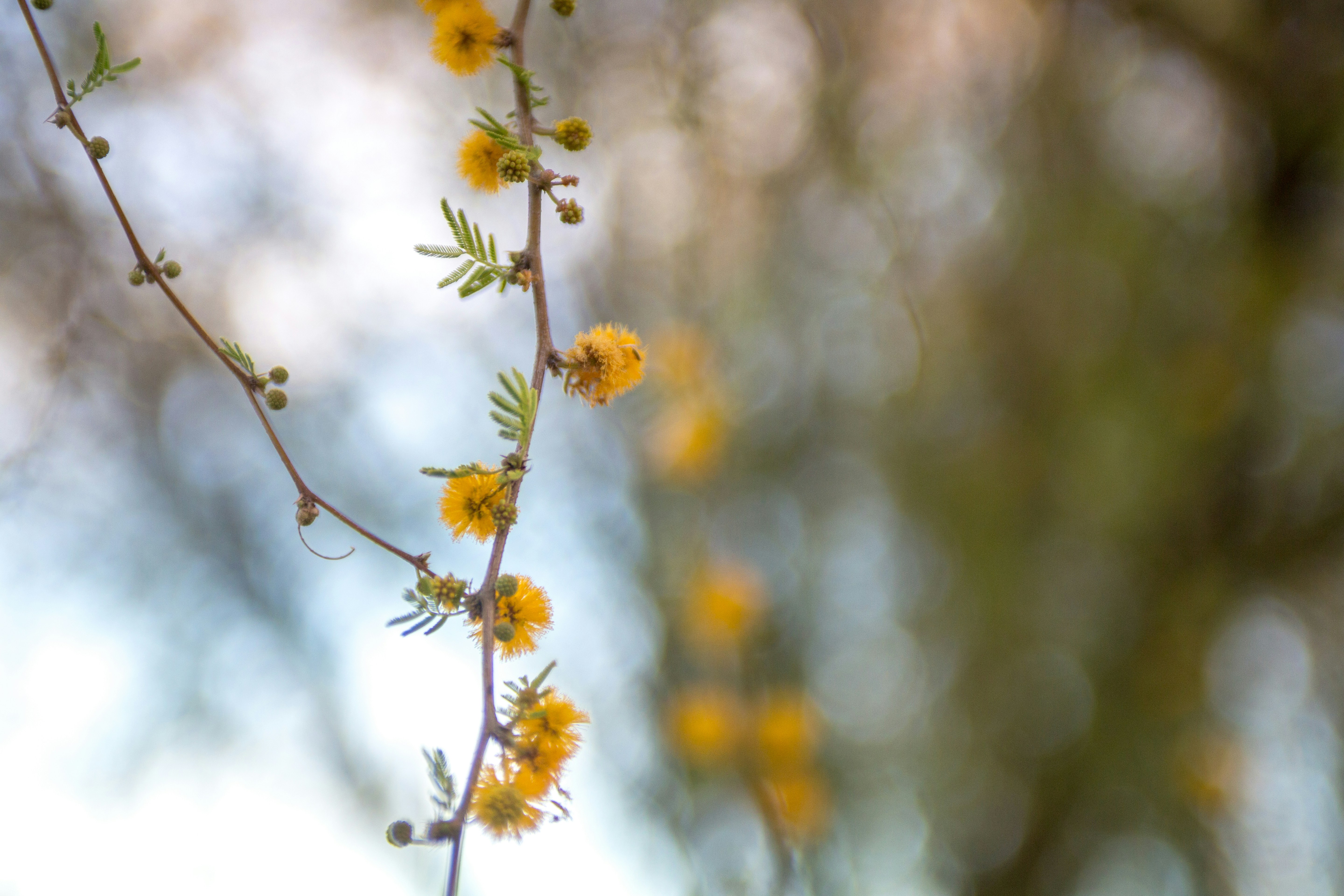 Photo by laurenloeffler