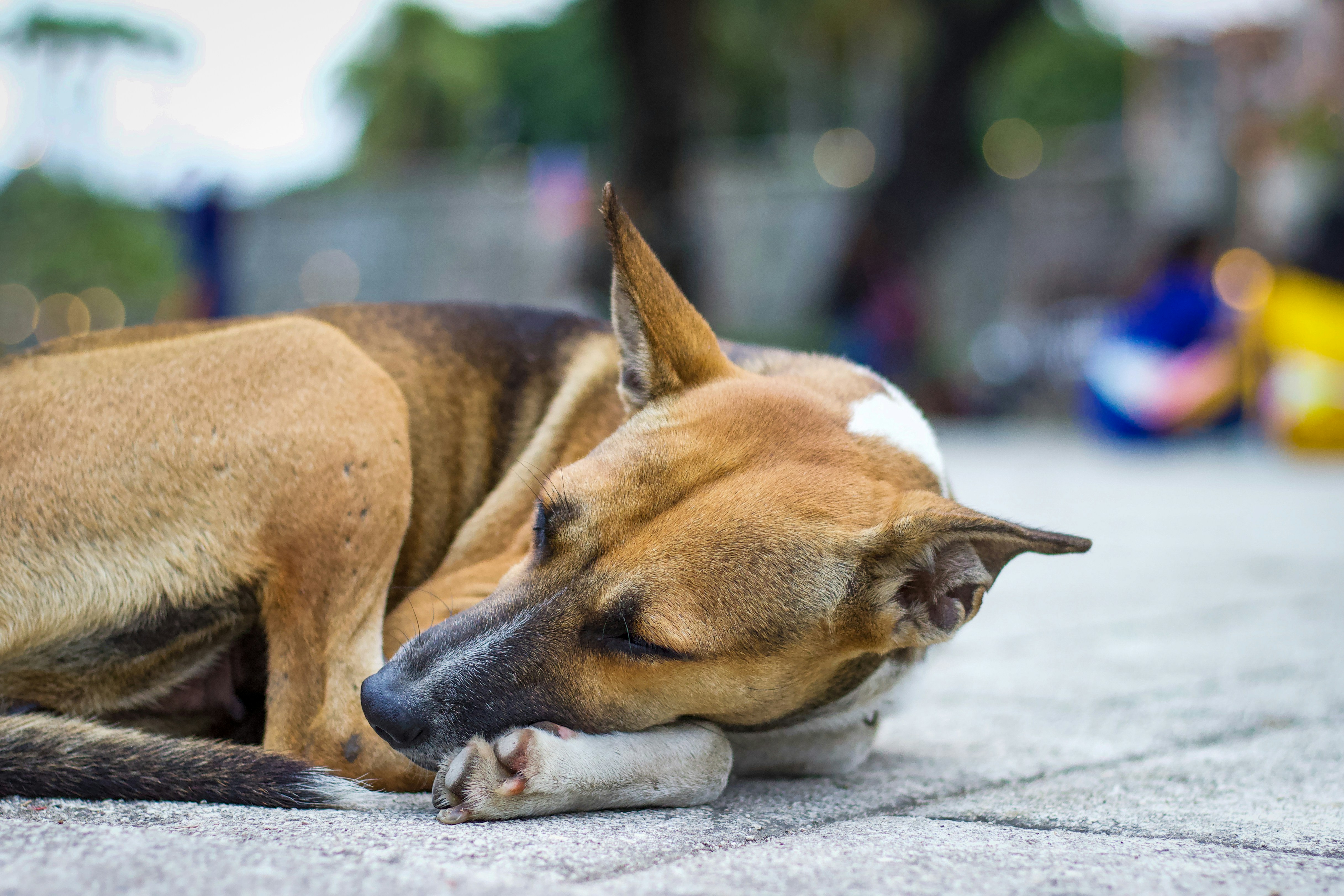 Photo by namu_photograph