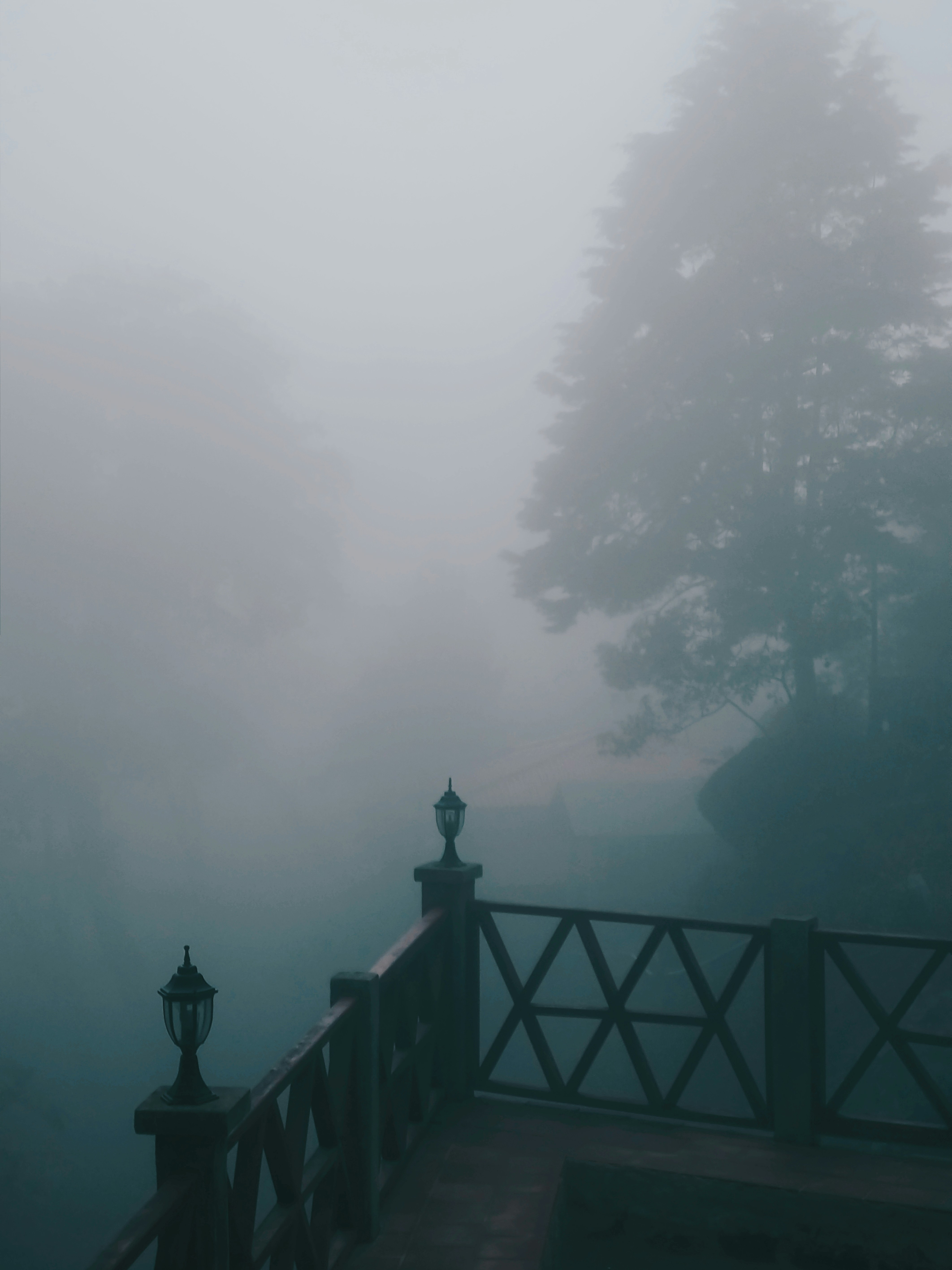 Photo by stephenmont