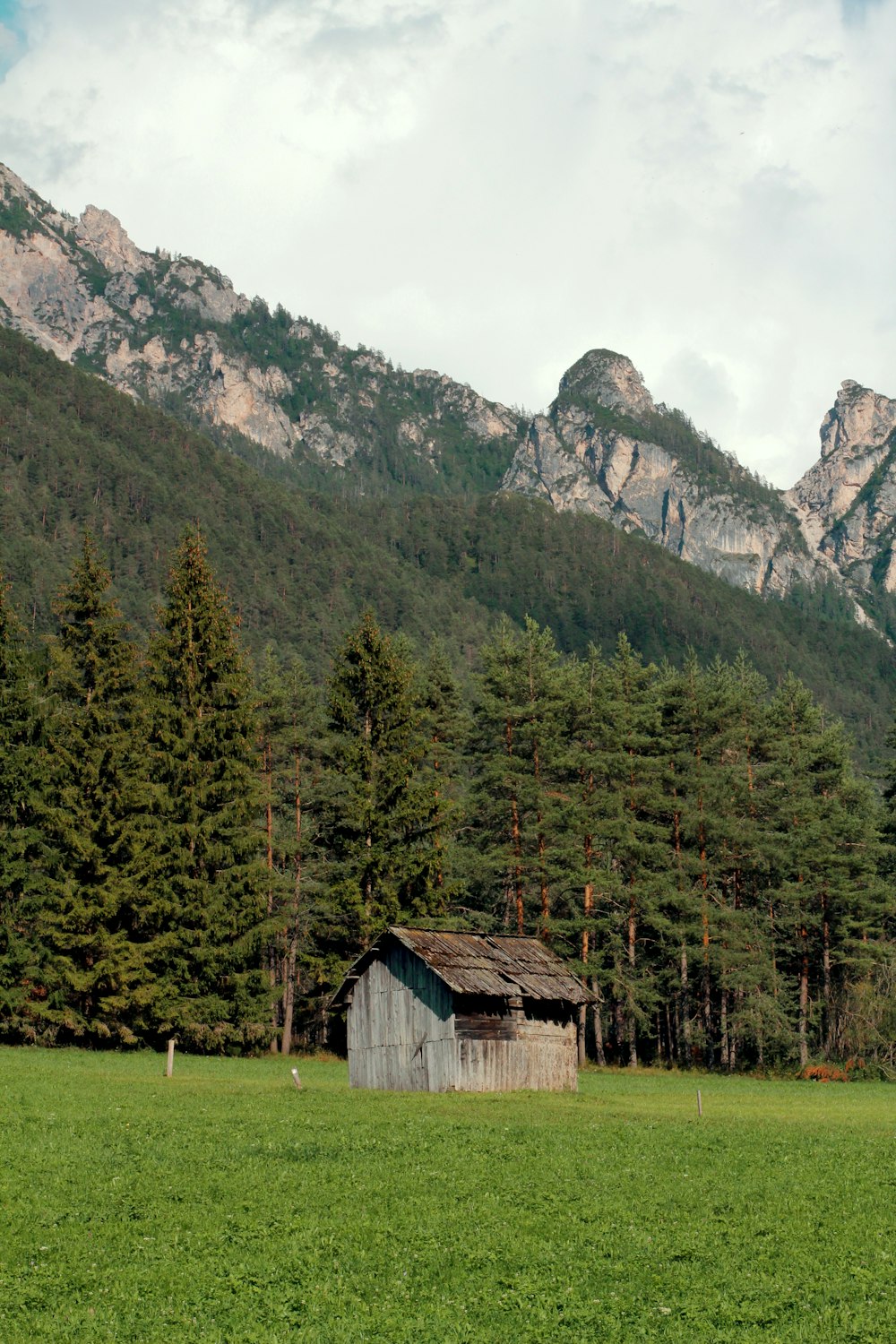 brown wooden house near green trees and mountain during daytime