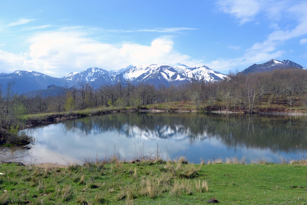 Grünes Grasfeld in der Nähe von See und Bergen unter blauem Himmel tagsüber