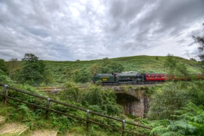 red and black train on rail tracks during daytime